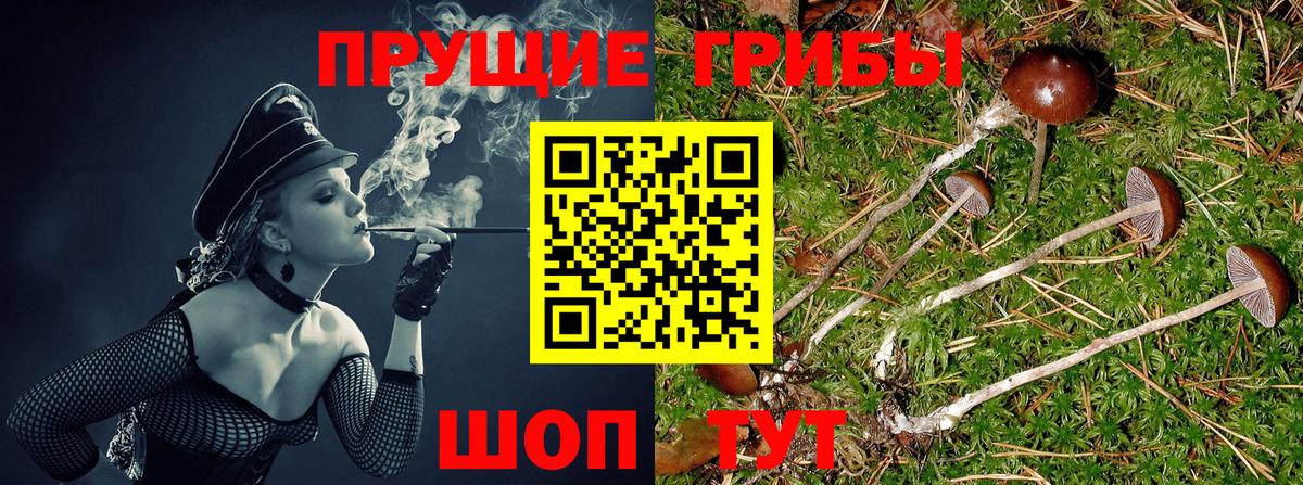 Галлюциногенные грибы мухоморы  Вход с VPN  Кропоткин 