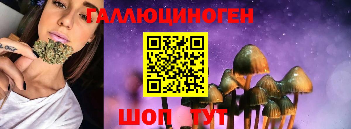 Галлюциногенные грибы прущие грибы Кропоткин
