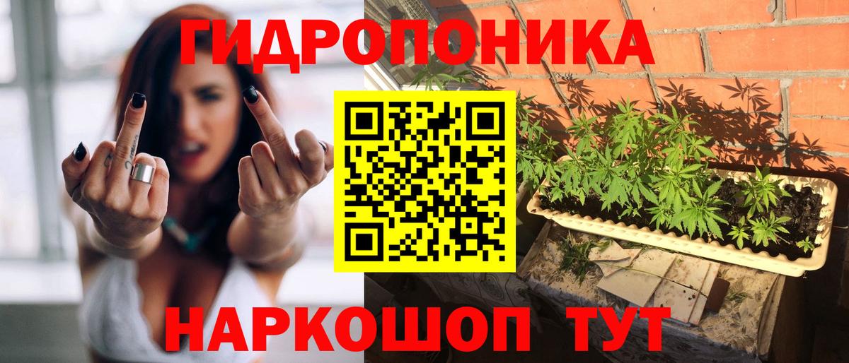 Марихуана сатива  Бошки Шишки индика  Кропоткин  Каннабис конопля  Марихуана ГИДРОПОН  Вход с VPN 